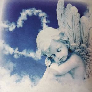 Meet your Posher, Yolando